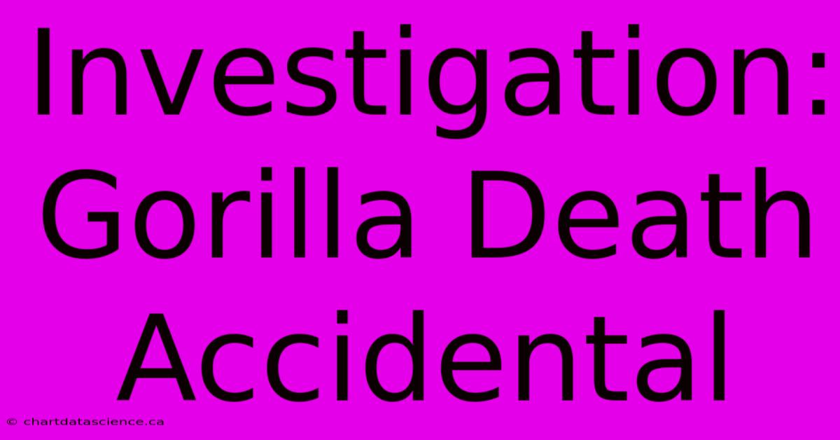 Investigation: Gorilla Death Accidental