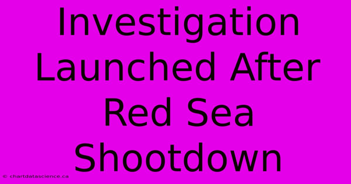 Investigation Launched After Red Sea Shootdown