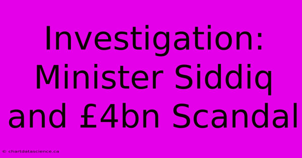 Investigation: Minister Siddiq And £4bn Scandal