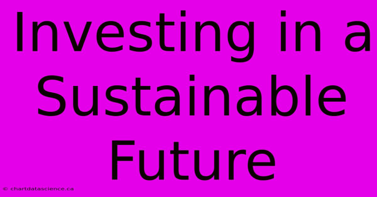 Investing In A Sustainable Future