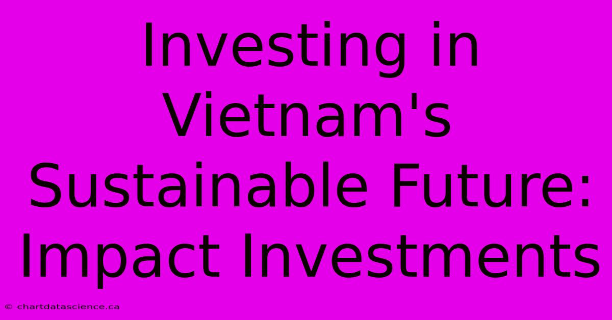 Investing In Vietnam's Sustainable Future: Impact Investments