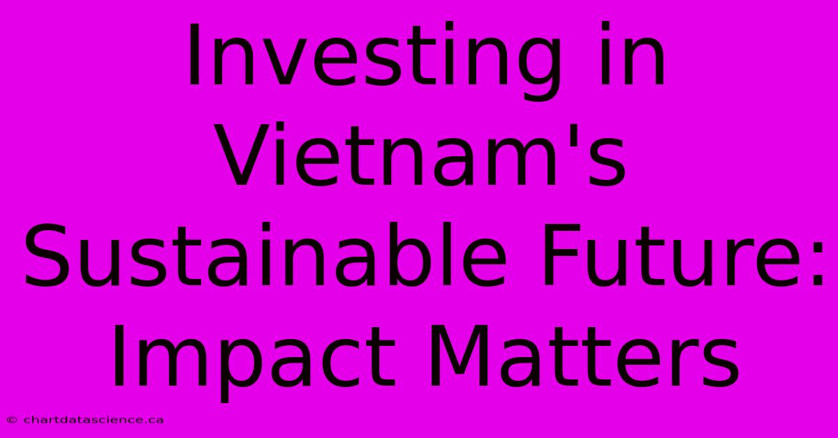 Investing In Vietnam's Sustainable Future: Impact Matters