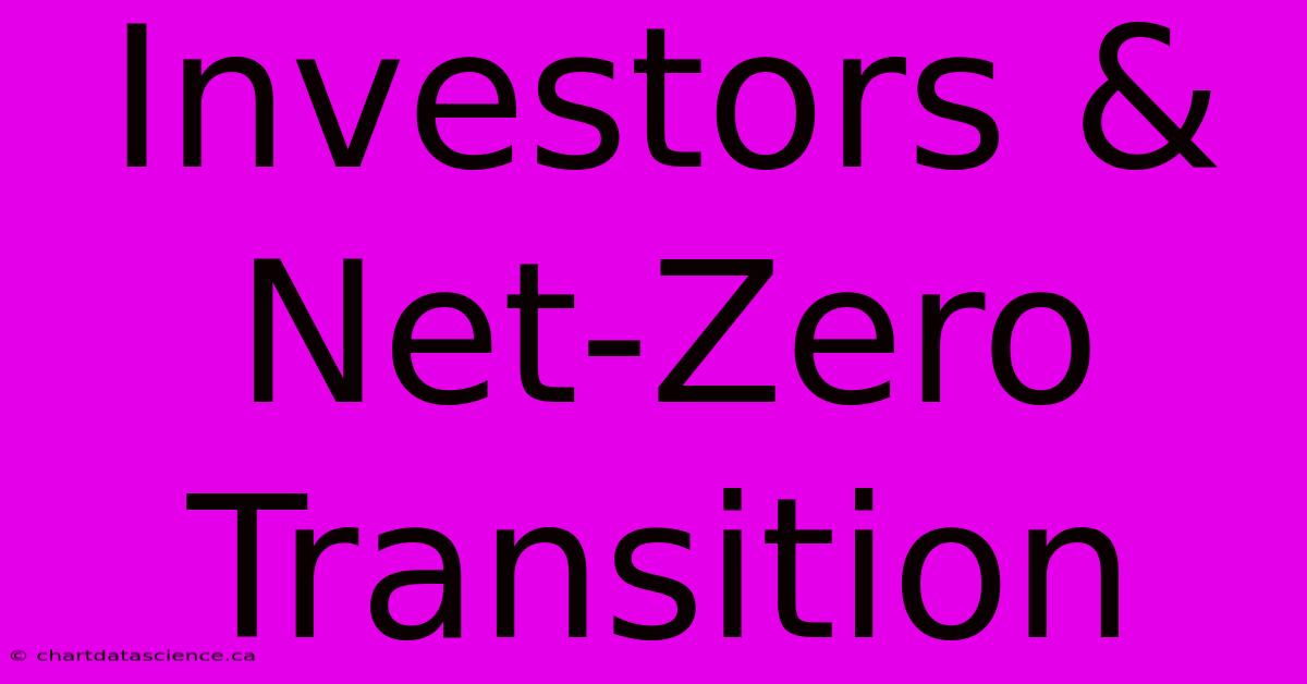 Investors & Net-Zero Transition