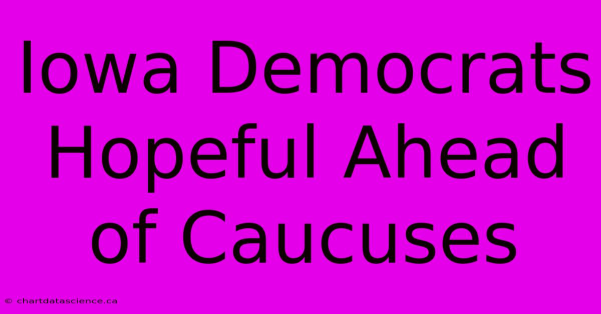 Iowa Democrats Hopeful Ahead Of Caucuses