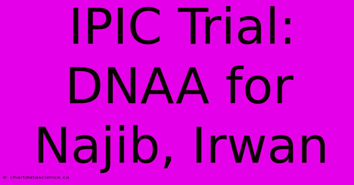 IPIC Trial: DNAA For Najib, Irwan