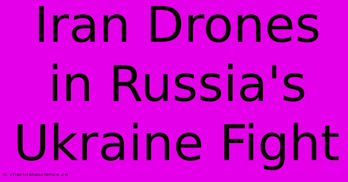 Iran Drones In Russia's Ukraine Fight