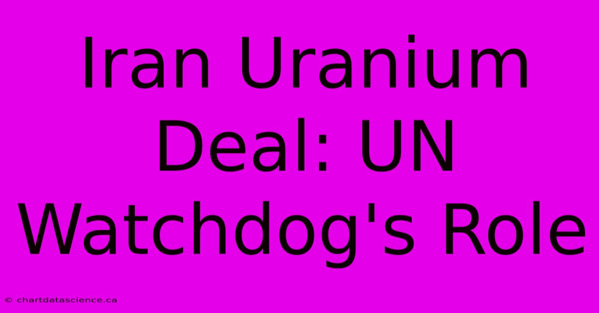 Iran Uranium Deal: UN Watchdog's Role