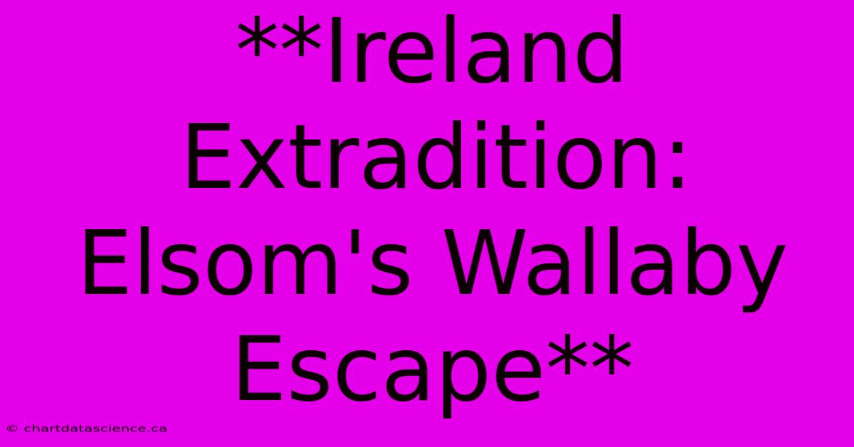 **Ireland Extradition: Elsom's Wallaby Escape**