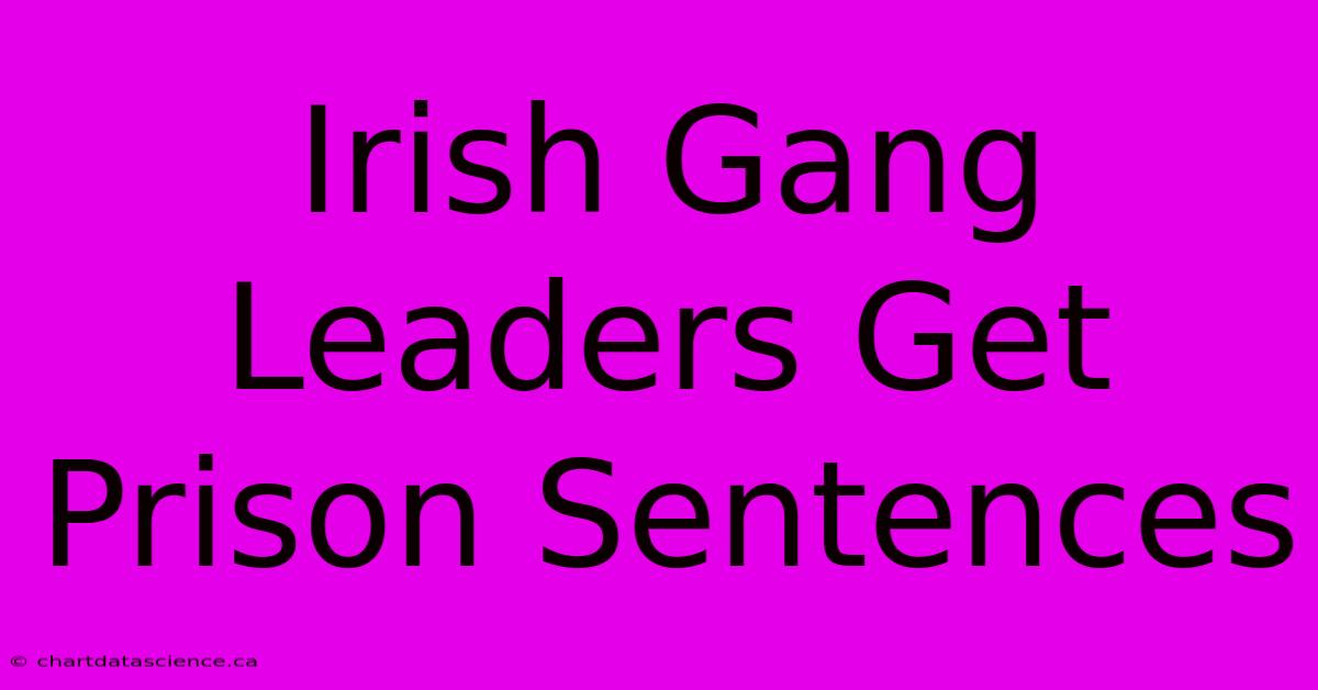 Irish Gang Leaders Get Prison Sentences