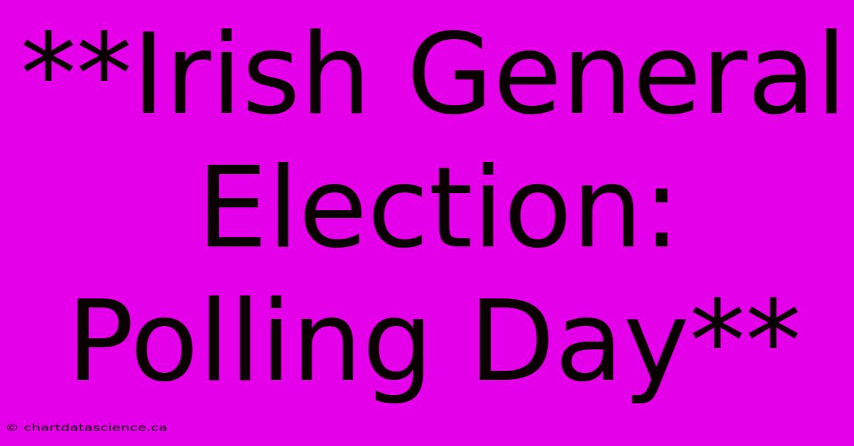 **Irish General Election: Polling Day**