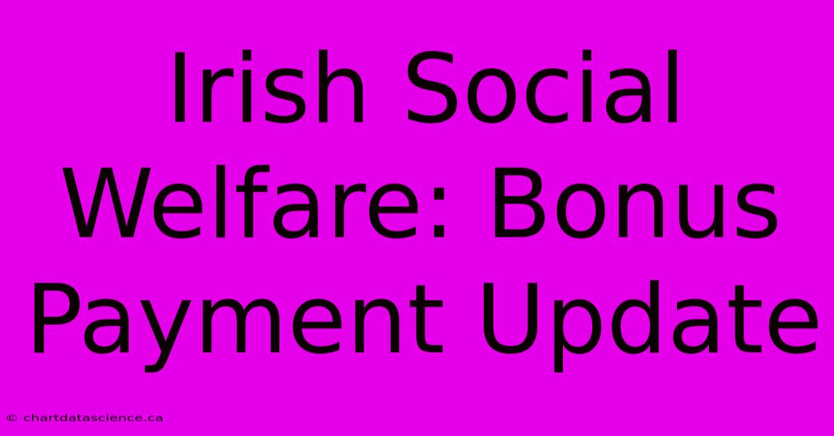 Irish Social Welfare: Bonus Payment Update