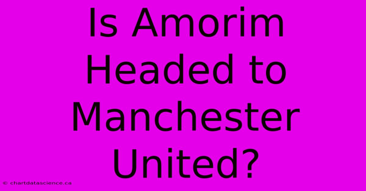 Is Amorim Headed To Manchester United?