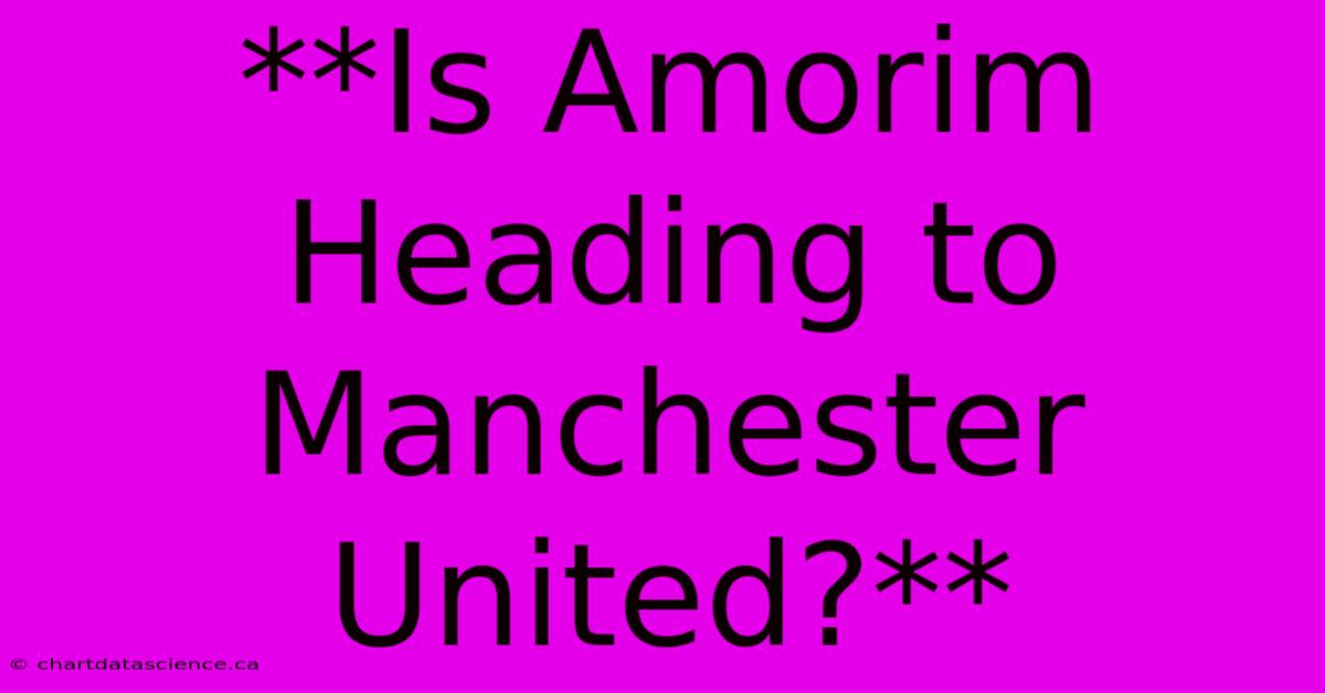 **Is Amorim Heading To Manchester United?**