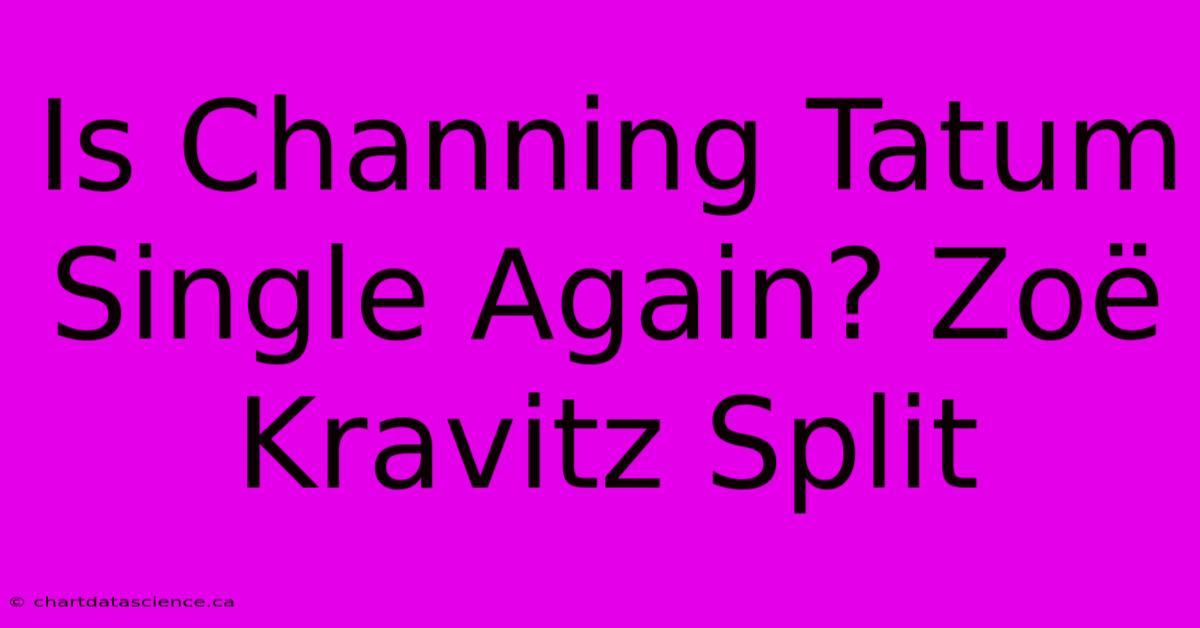 Is Channing Tatum Single Again? Zoë Kravitz Split 