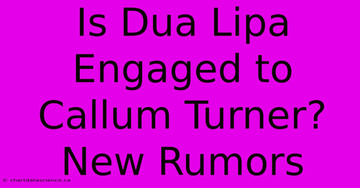 Is Dua Lipa Engaged To Callum Turner? New Rumors