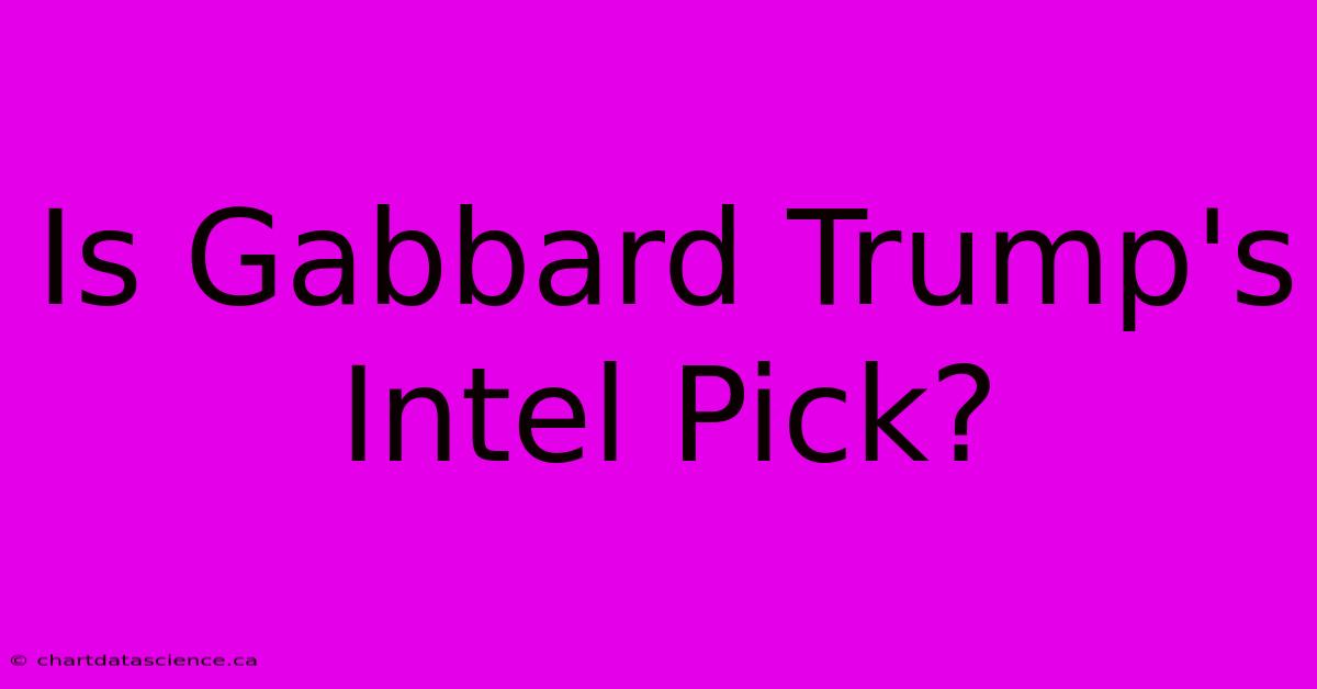 Is Gabbard Trump's Intel Pick?