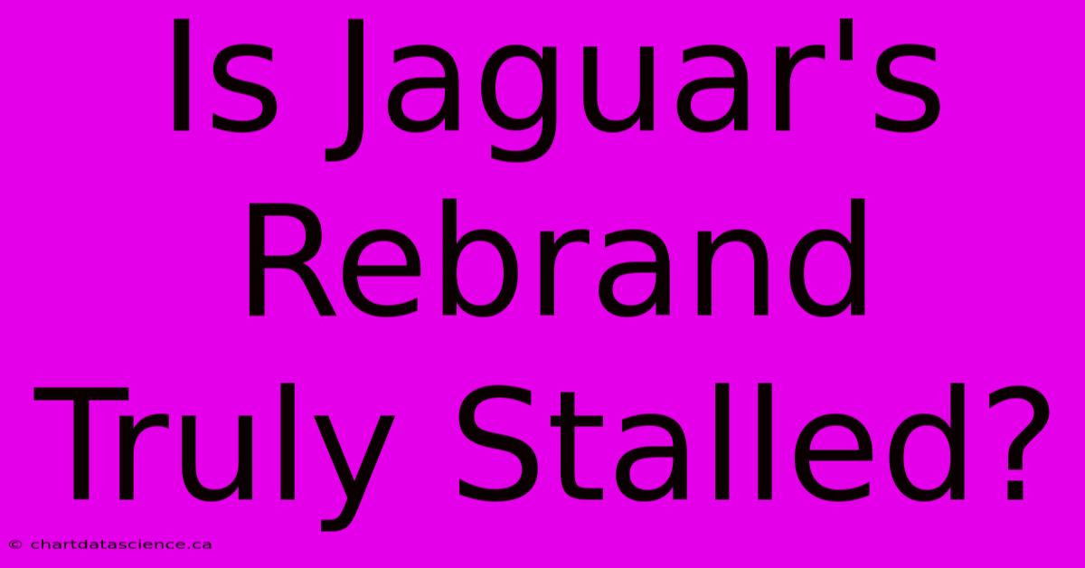 Is Jaguar's Rebrand Truly Stalled?