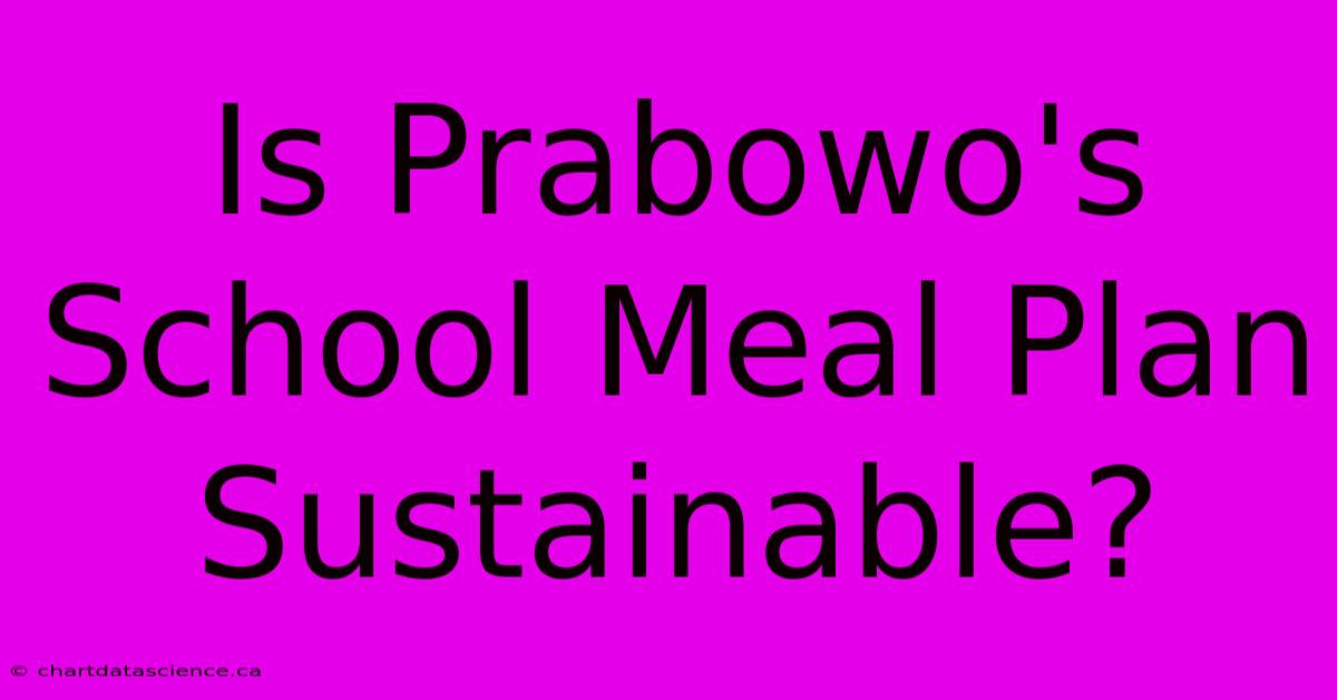 Is Prabowo's School Meal Plan Sustainable?