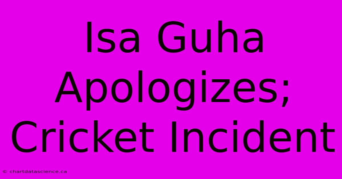 Isa Guha Apologizes; Cricket Incident