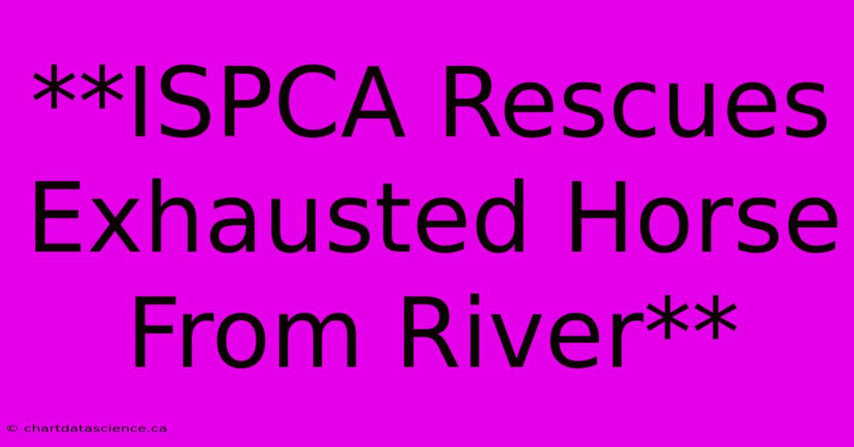 **ISPCA Rescues Exhausted Horse From River**