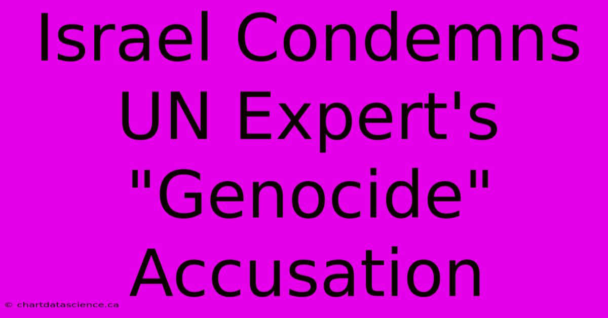 Israel Condemns UN Expert's 