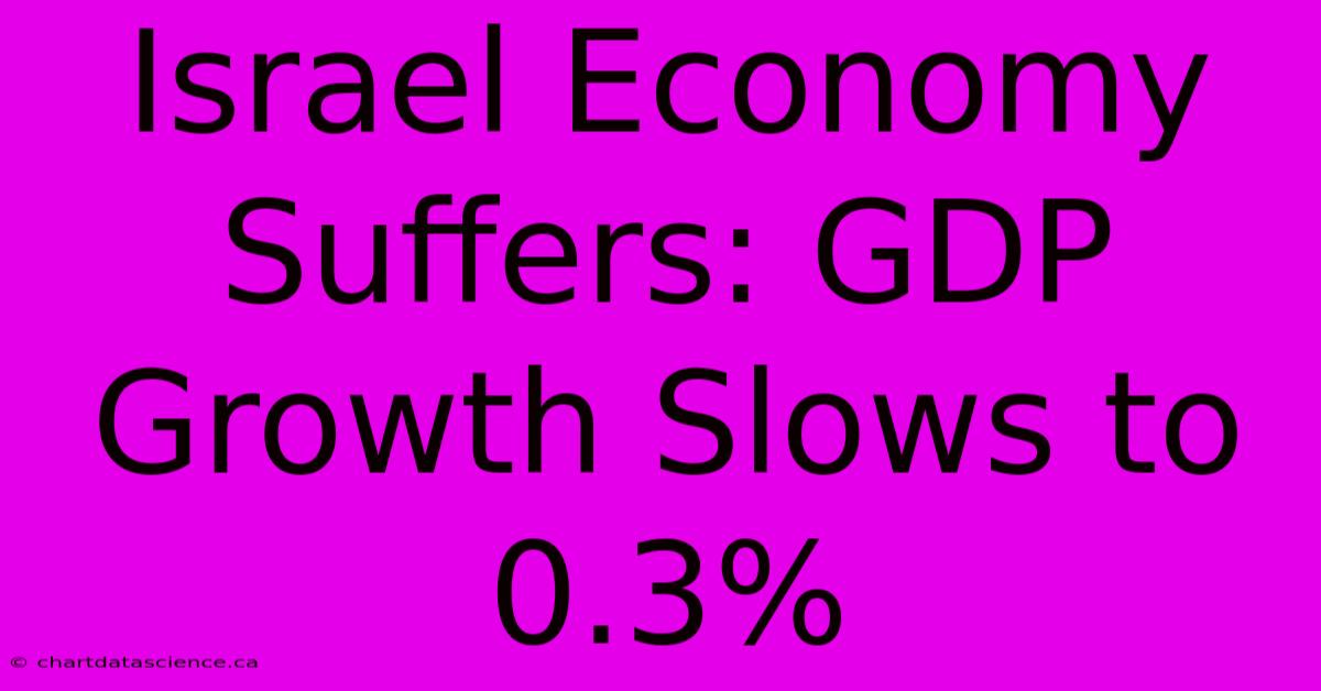 Israel Economy Suffers: GDP Growth Slows To 0.3%