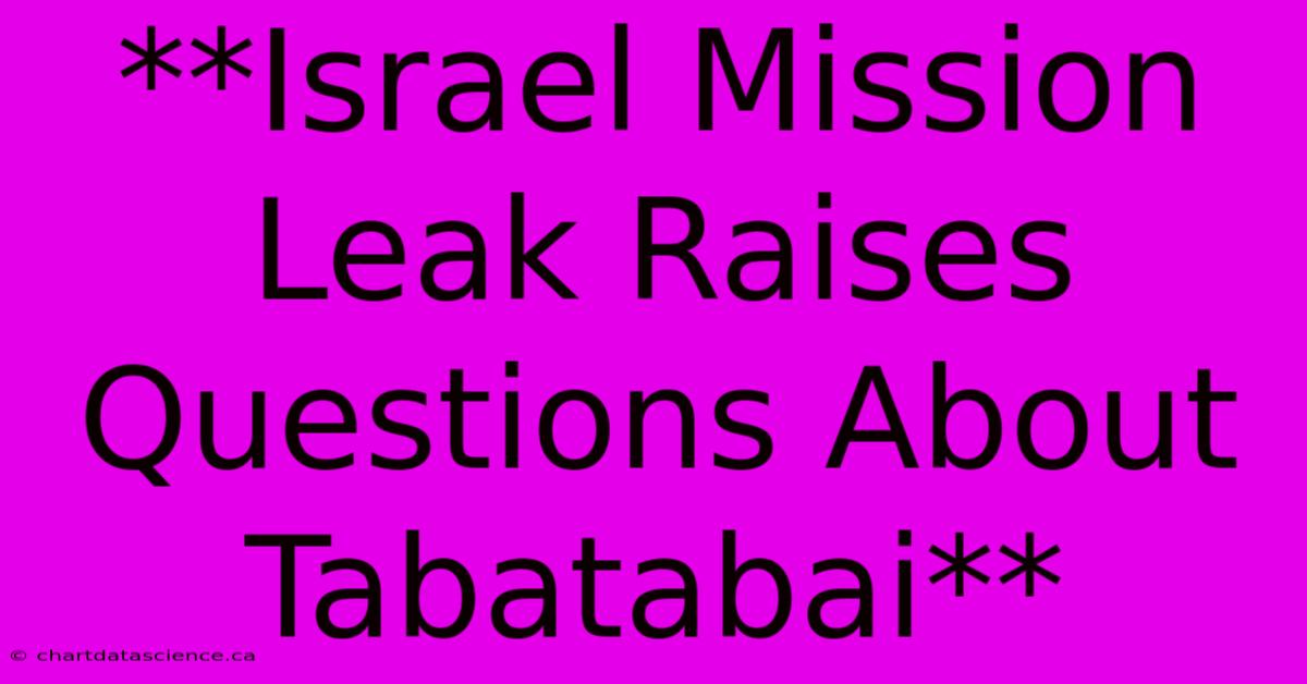 **Israel Mission Leak Raises Questions About Tabatabai**