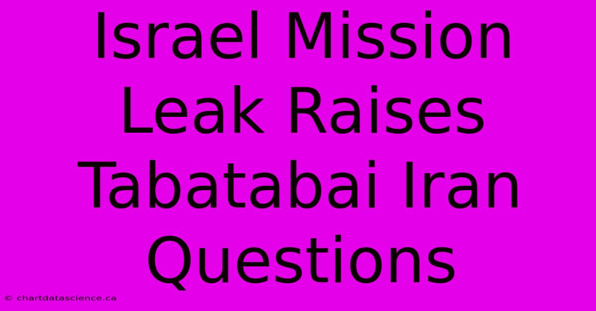 Israel Mission Leak Raises Tabatabai Iran Questions