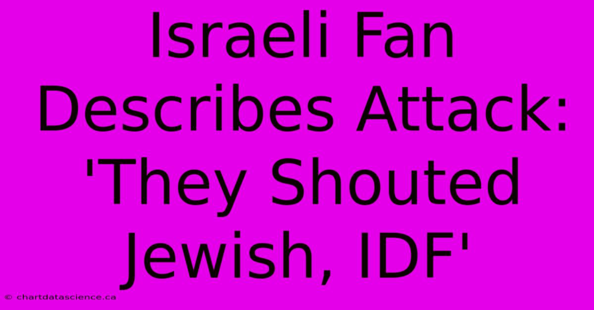 Israeli Fan Describes Attack: 'They Shouted Jewish, IDF'