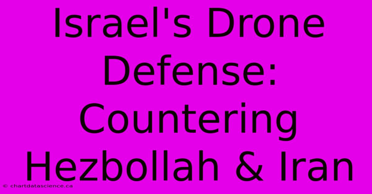 Israel's Drone Defense: Countering Hezbollah & Iran