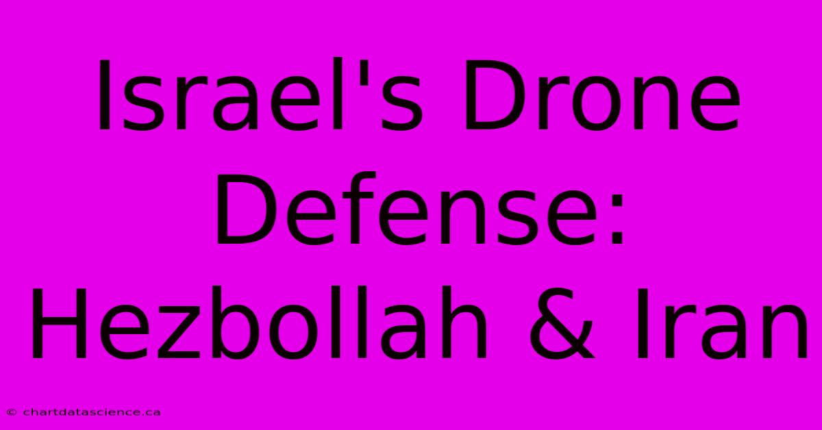 Israel's Drone Defense: Hezbollah & Iran