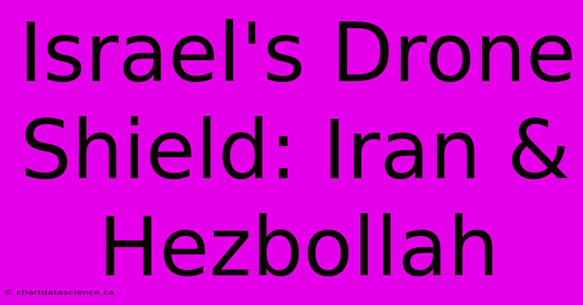 Israel's Drone Shield: Iran & Hezbollah