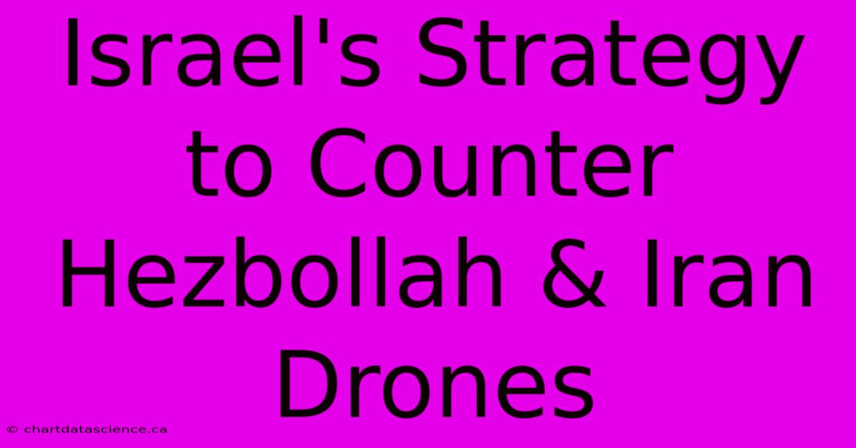 Israel's Strategy To Counter Hezbollah & Iran Drones