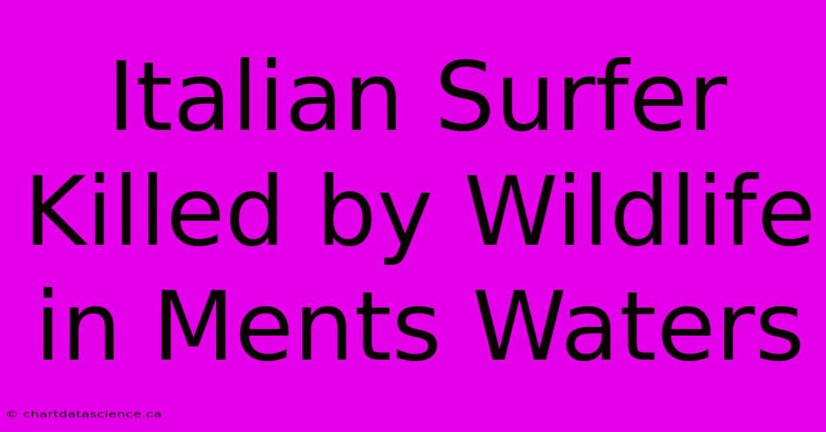 Italian Surfer Killed By Wildlife In Ments Waters