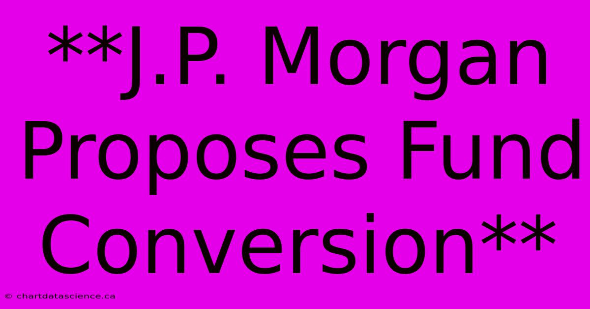 **J.P. Morgan Proposes Fund Conversion**