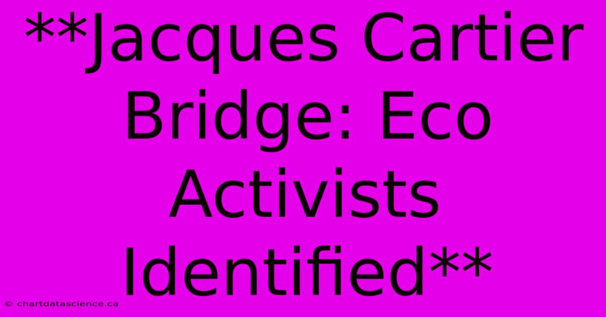 **Jacques Cartier Bridge: Eco Activists Identified**