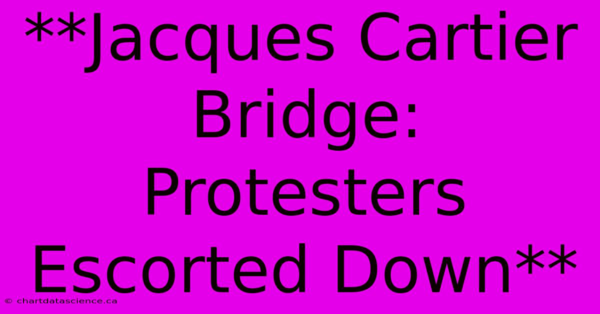 **Jacques Cartier Bridge: Protesters Escorted Down**