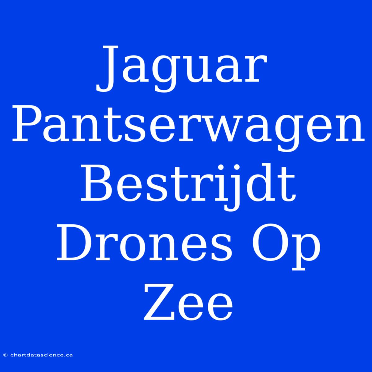 Jaguar Pantserwagen Bestrijdt Drones Op Zee