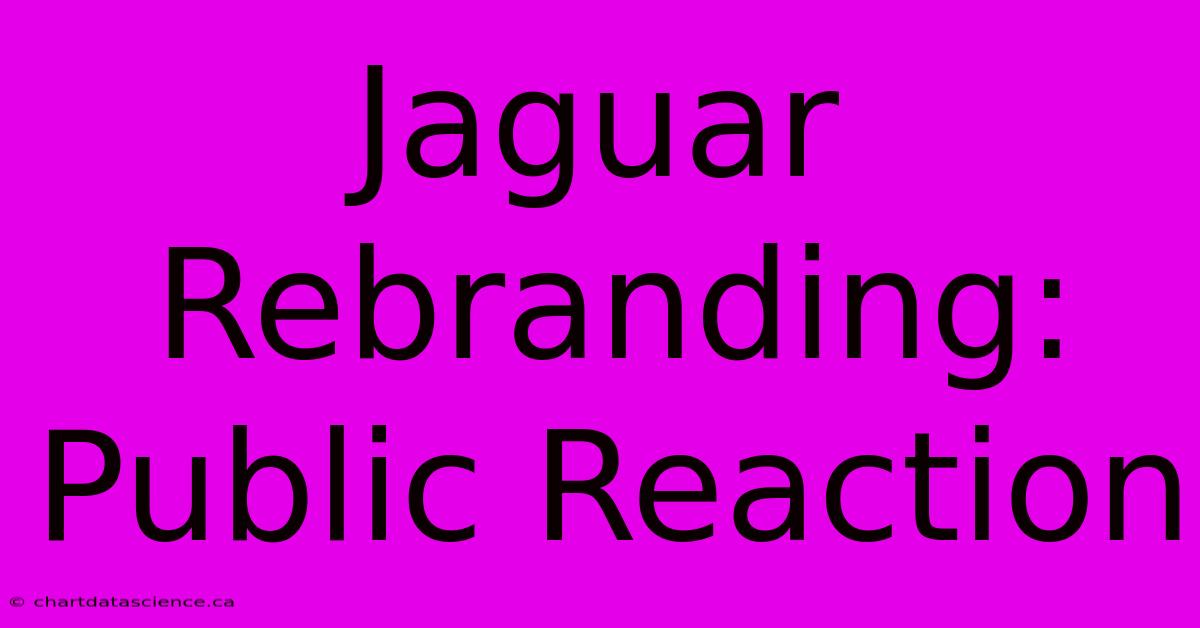 Jaguar Rebranding: Public Reaction