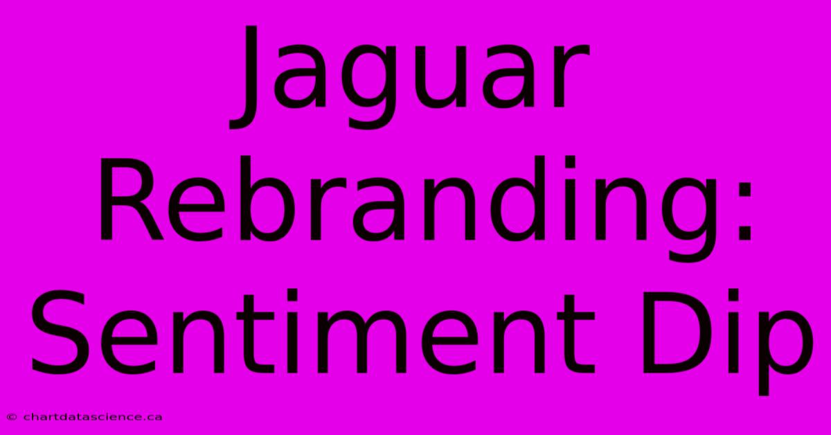 Jaguar Rebranding: Sentiment Dip