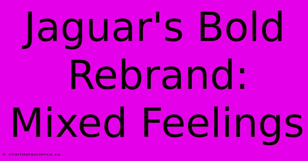 Jaguar's Bold Rebrand: Mixed Feelings