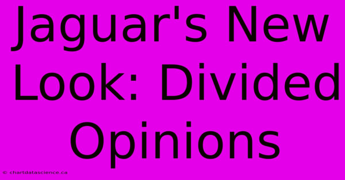 Jaguar's New Look: Divided Opinions