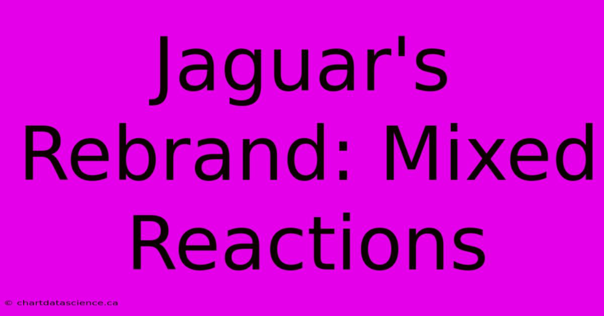 Jaguar's Rebrand: Mixed Reactions