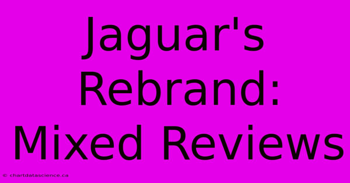 Jaguar's Rebrand: Mixed Reviews