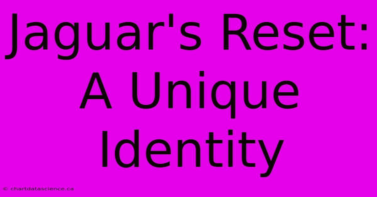 Jaguar's Reset: A Unique Identity