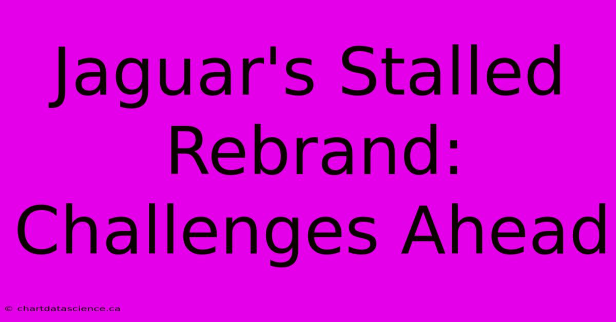 Jaguar's Stalled Rebrand: Challenges Ahead