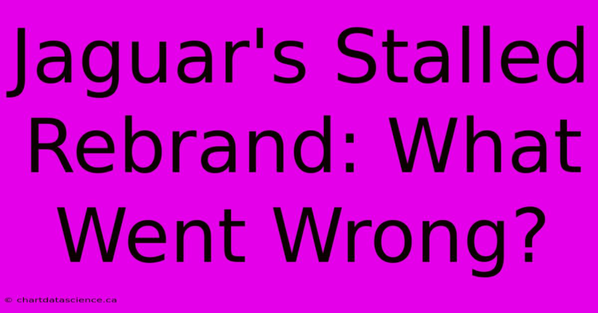 Jaguar's Stalled Rebrand: What Went Wrong?