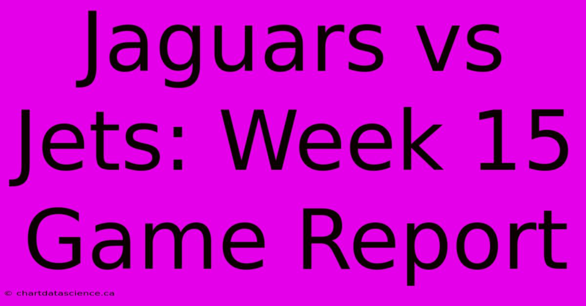 Jaguars Vs Jets: Week 15 Game Report