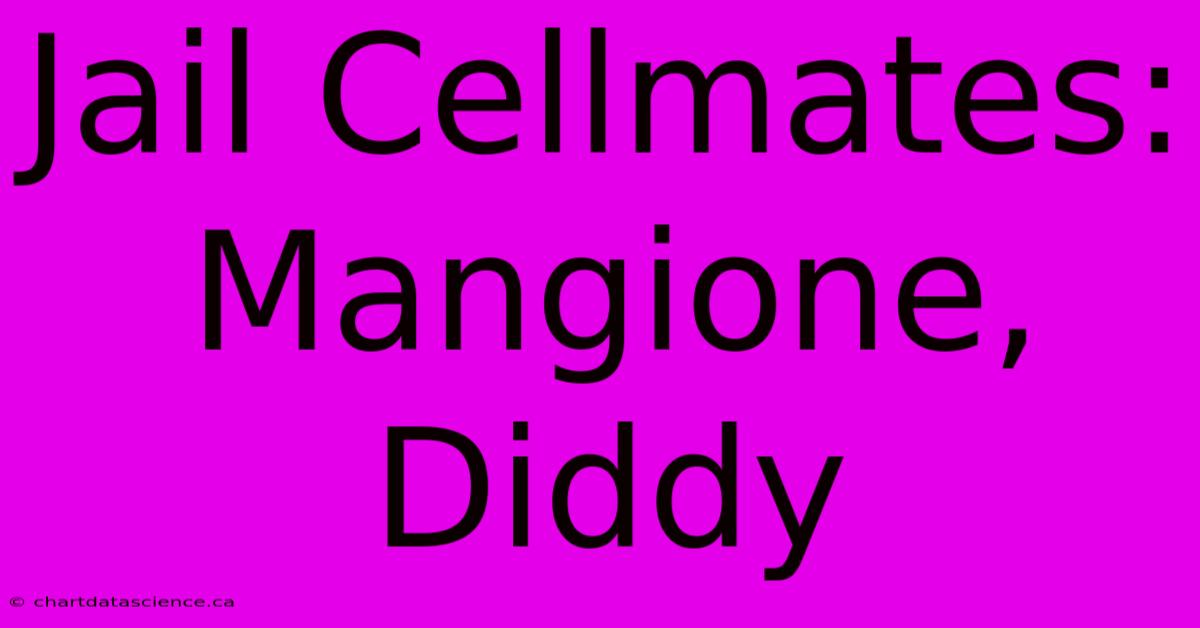 Jail Cellmates: Mangione, Diddy