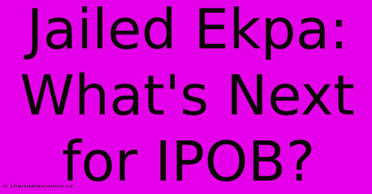 Jailed Ekpa: What's Next For IPOB?